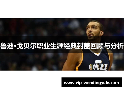 鲁迪·戈贝尔职业生涯经典封盖回顾与分析