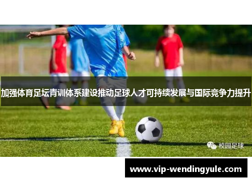加强体育足坛青训体系建设推动足球人才可持续发展与国际竞争力提升