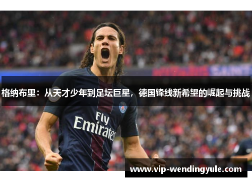 格纳布里：从天才少年到足坛巨星，德国锋线新希望的崛起与挑战