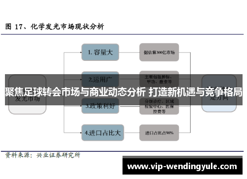聚焦足球转会市场与商业动态分析 打造新机遇与竞争格局