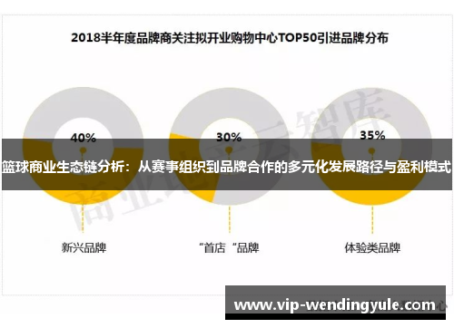 篮球商业生态链分析：从赛事组织到品牌合作的多元化发展路径与盈利模式