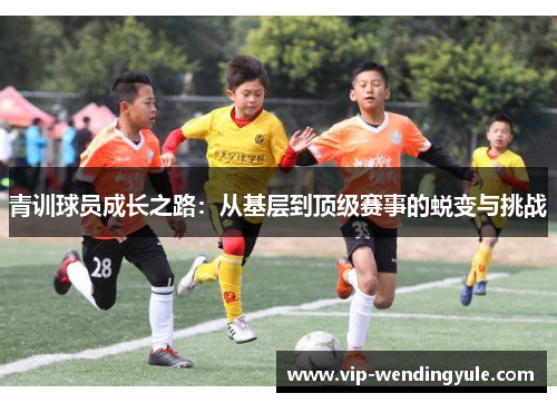 青训球员成长之路：从基层到顶级赛事的蜕变与挑战