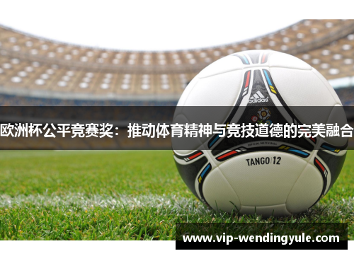 欧洲杯公平竞赛奖：推动体育精神与竞技道德的完美融合
