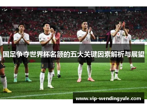 国足争夺世界杯名额的五大关键因素解析与展望