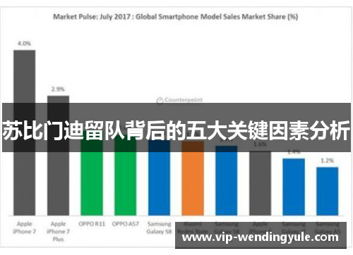 苏比门迪留队背后的五大关键因素分析