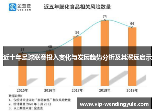 近十年足球联赛投入变化与发展趋势分析及其深远启示