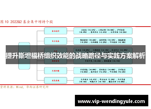 提升斯坦福桥组织效能的战略路径与实践方案解析