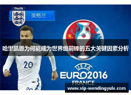 哈里凯恩为何能成为世界级前锋的五大关键因素分析 哈里凯恩为何能成为世界级前锋的五大关键因素分析