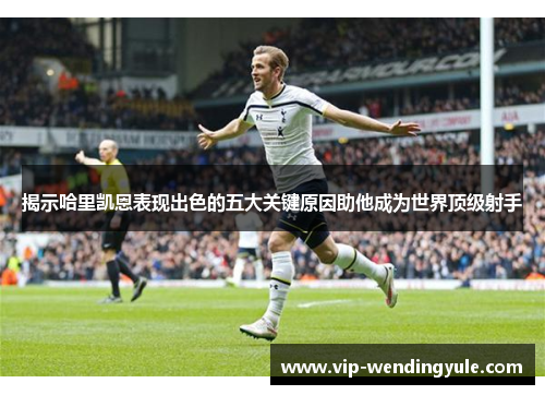 揭示哈里凯恩表现出色的五大关键原因助他成为世界顶级射手 揭示哈里凯恩表现出色的五大关键原因助他成为世界顶级射手